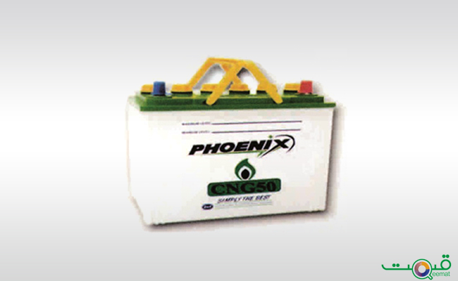 Phoenix 9 Plates Battery