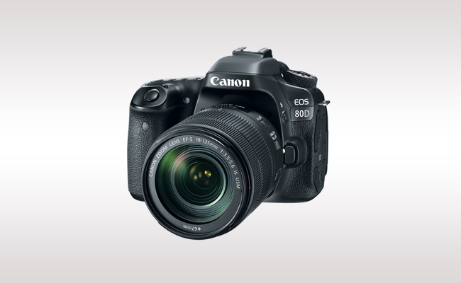 Canon EOS 80D 18-135mm